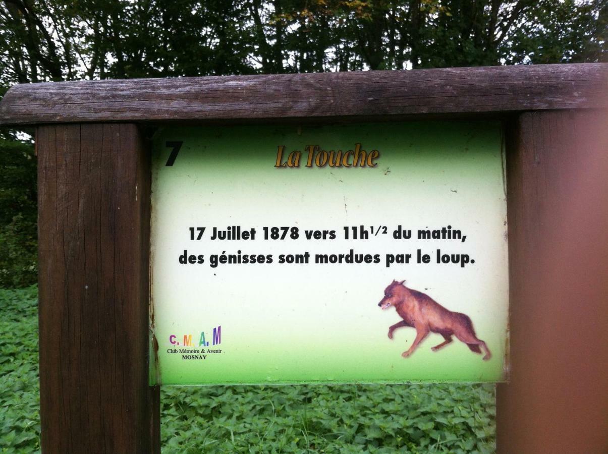 Domaine De La Touche Mosnay Bed & Breakfast Екстериор снимка